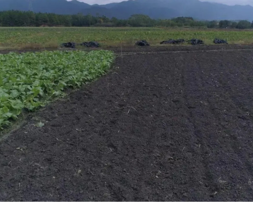 农村哪三件生意严查,农村开展大整治三种生意不能做