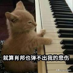 电脑屏幕脏了用酒精擦了会怎么样,电脑屏幕脏点用酒精擦不掉怎么办