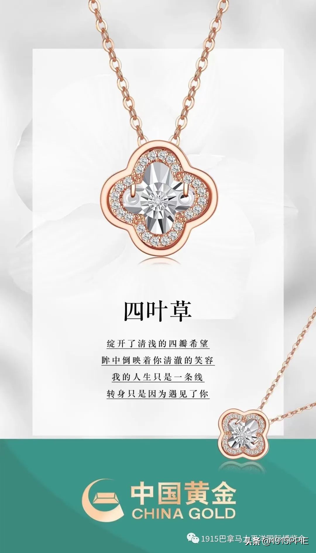 双十一购物狂欢节大放送,双十一购物狂欢节提前购