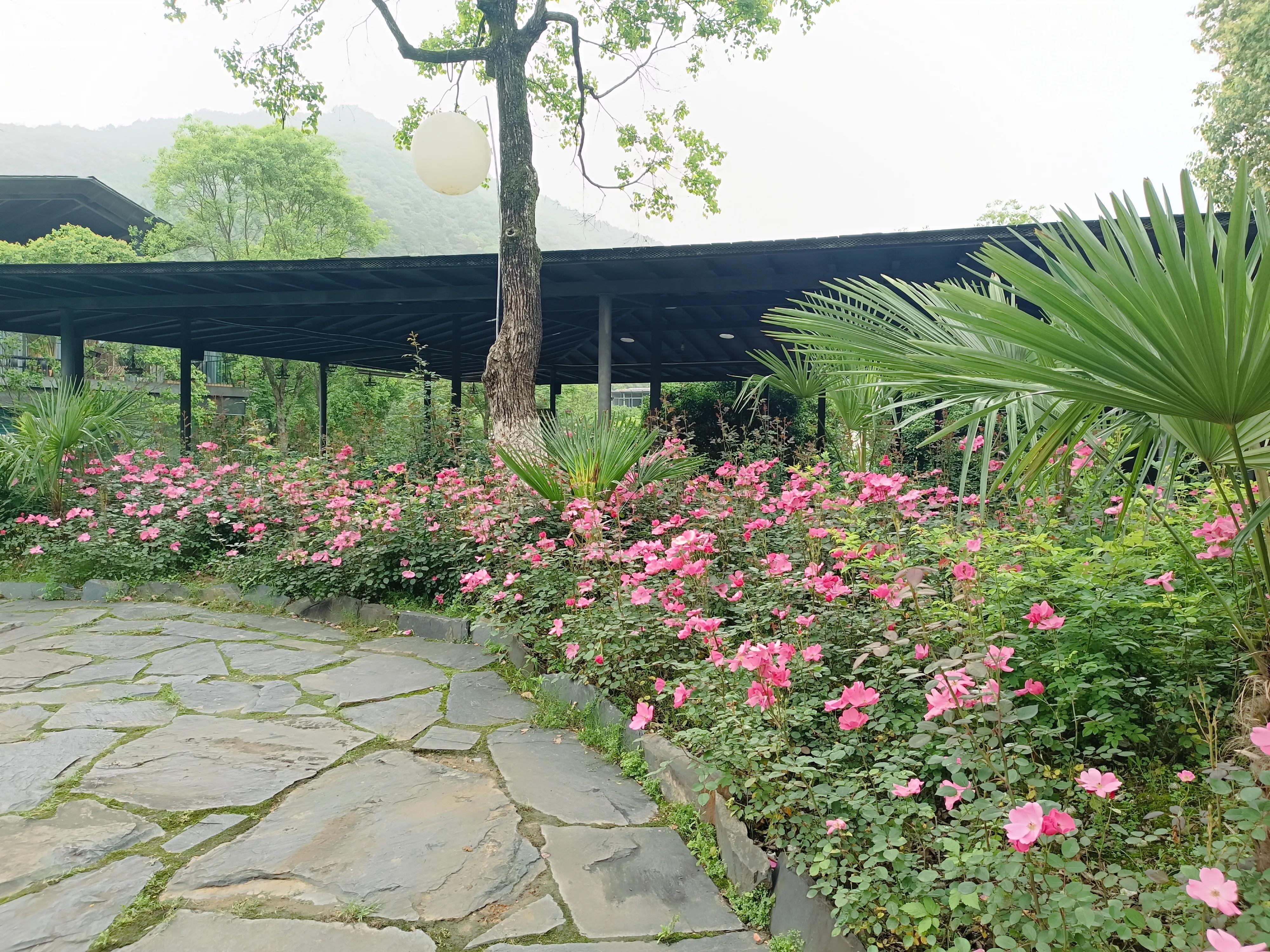 景德镇中国陶瓷博物馆参观路线,景德镇民俗博物馆旅行记