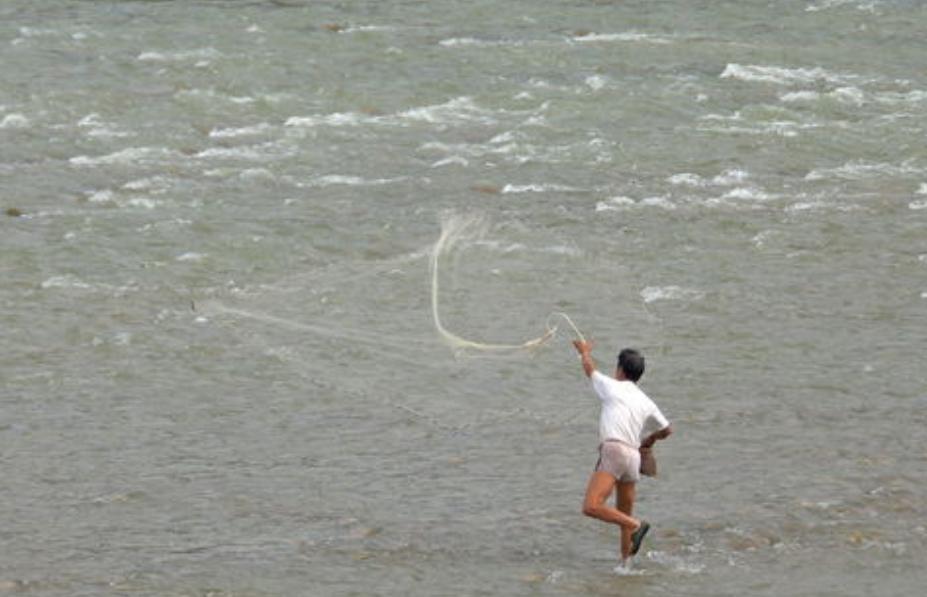 怎么撒网捕大鱼视频,三人撒网捕获大鱼