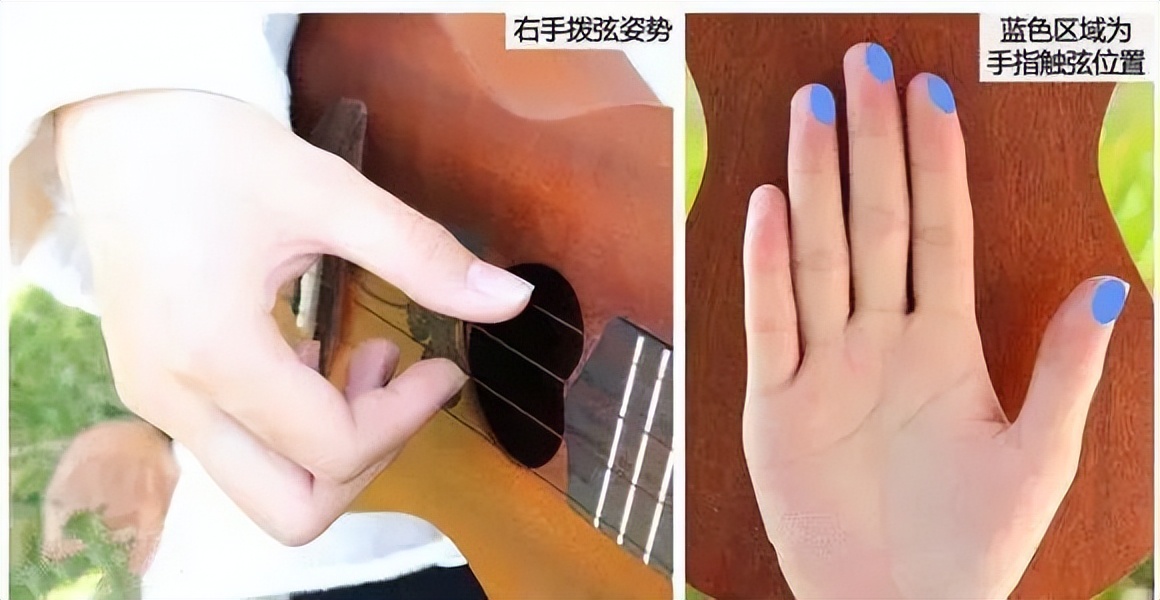 乐器教培视频,尤克里里入门教程零基础弹奏