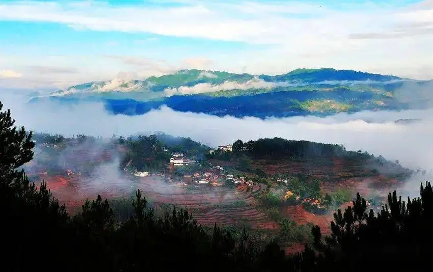 勐海普洱茶第一村,勐麻茶房
