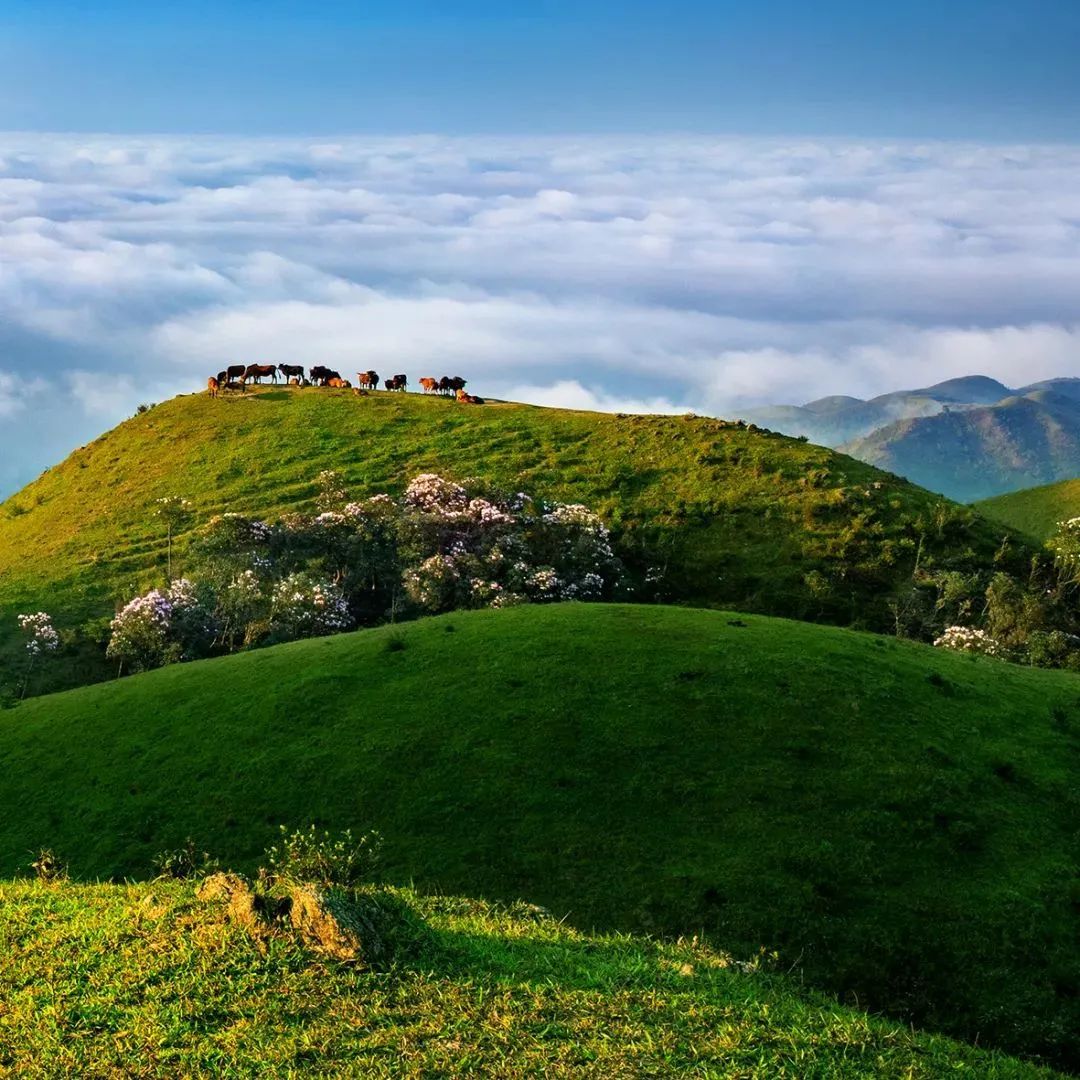 中国最美冷门旅游海岸,中国最美小众海岸线