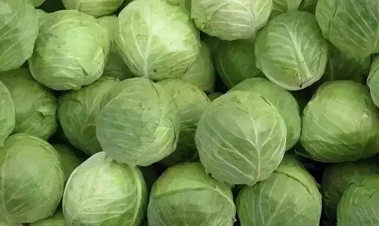 浙江人常吃的蔬菜有哪些,幼儿园常吃的蔬菜有哪些