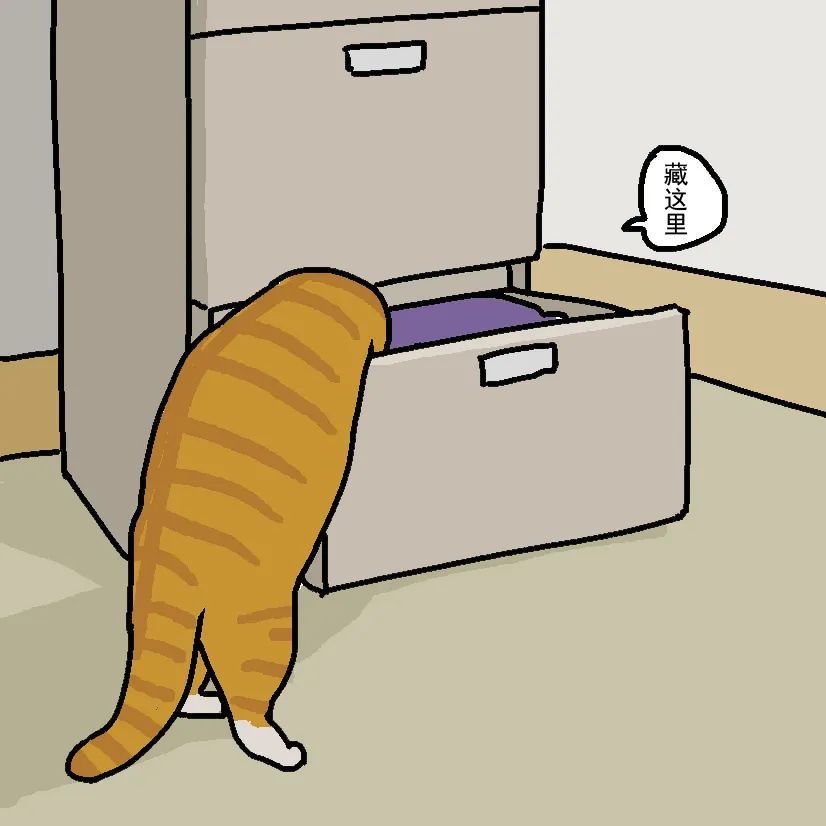 养猫劝退指南第19集,养猫劝退指南英短