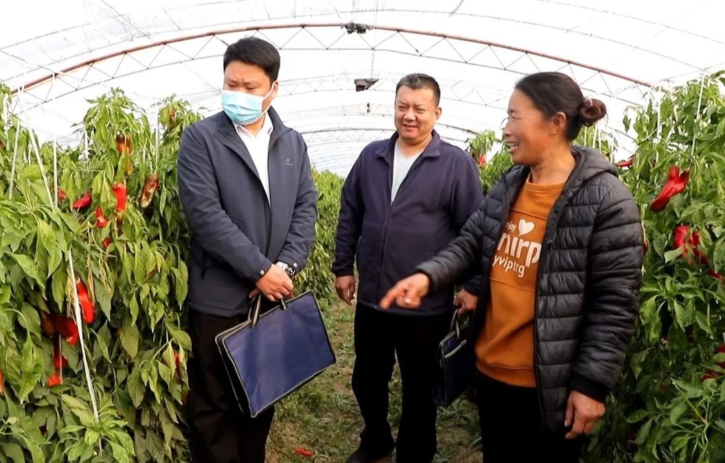 东平县创业担保贷款,东平县担保贷款