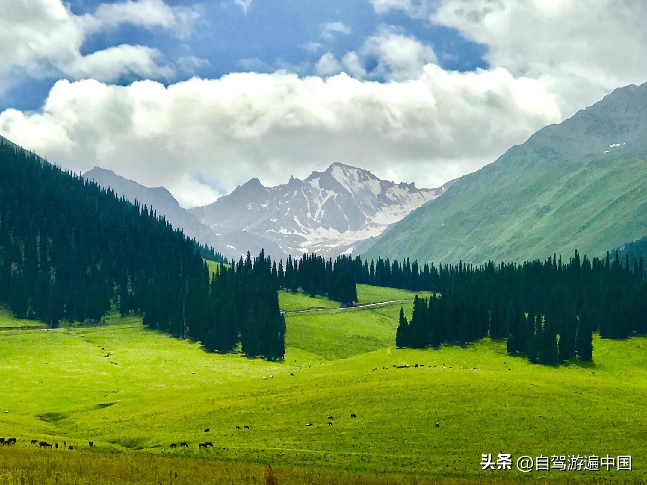 全国最美十大风景,疆内风景图片大全