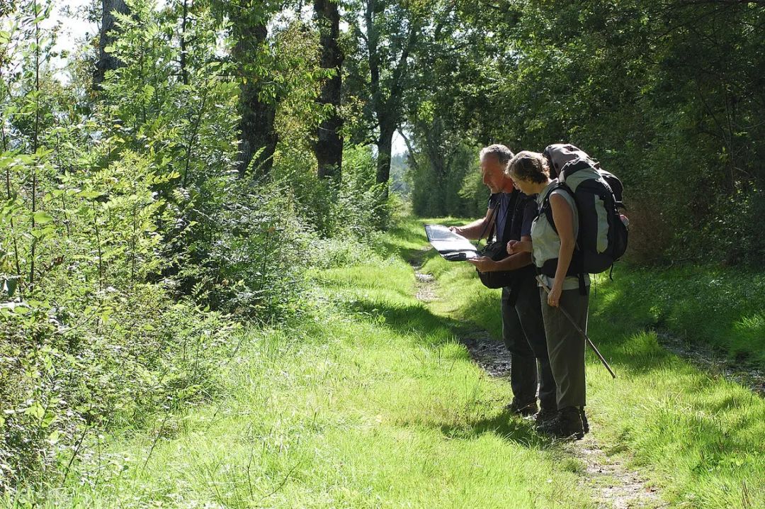 有哪些发达国家收入和中国差不多,全世界高收入国家与发达国家