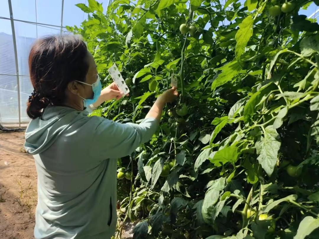 育苗基地规划建设,育苗基地建设计划书