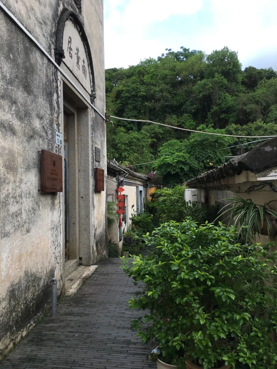 《旭光骑行深圳》第22站——龙华区观湖街道