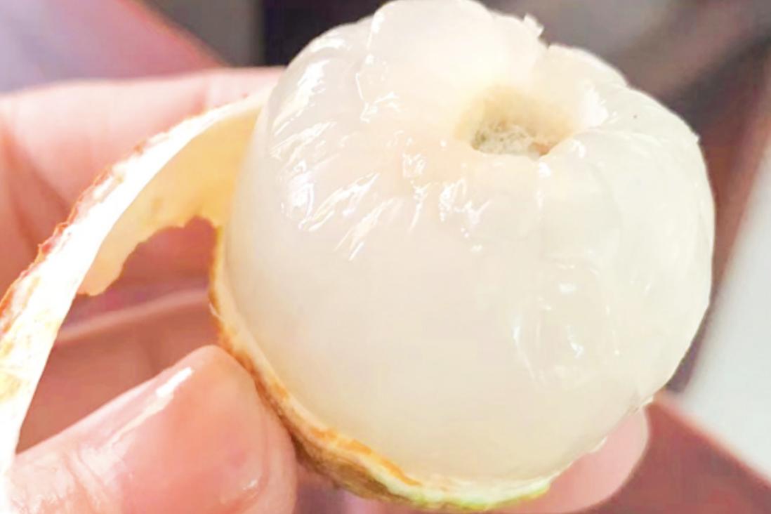 国内最好荔枝品种排名榜,十大最好吃荔枝排名及成熟期