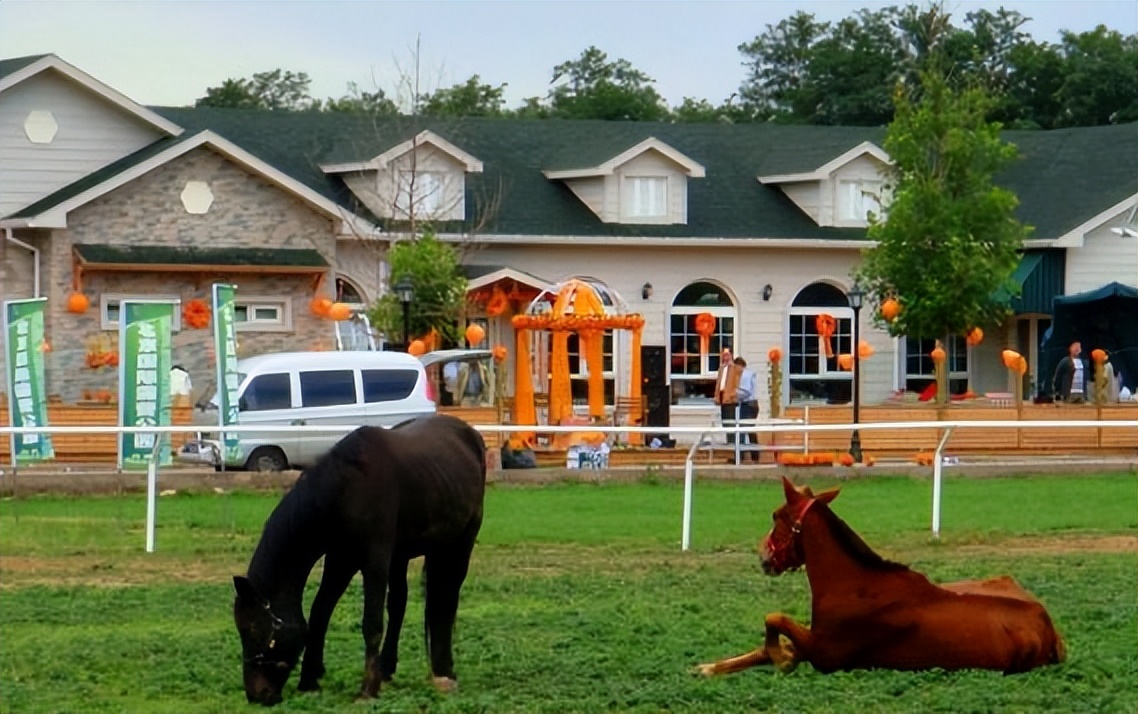 特色小镇100个视频,特色小镇的经典案例