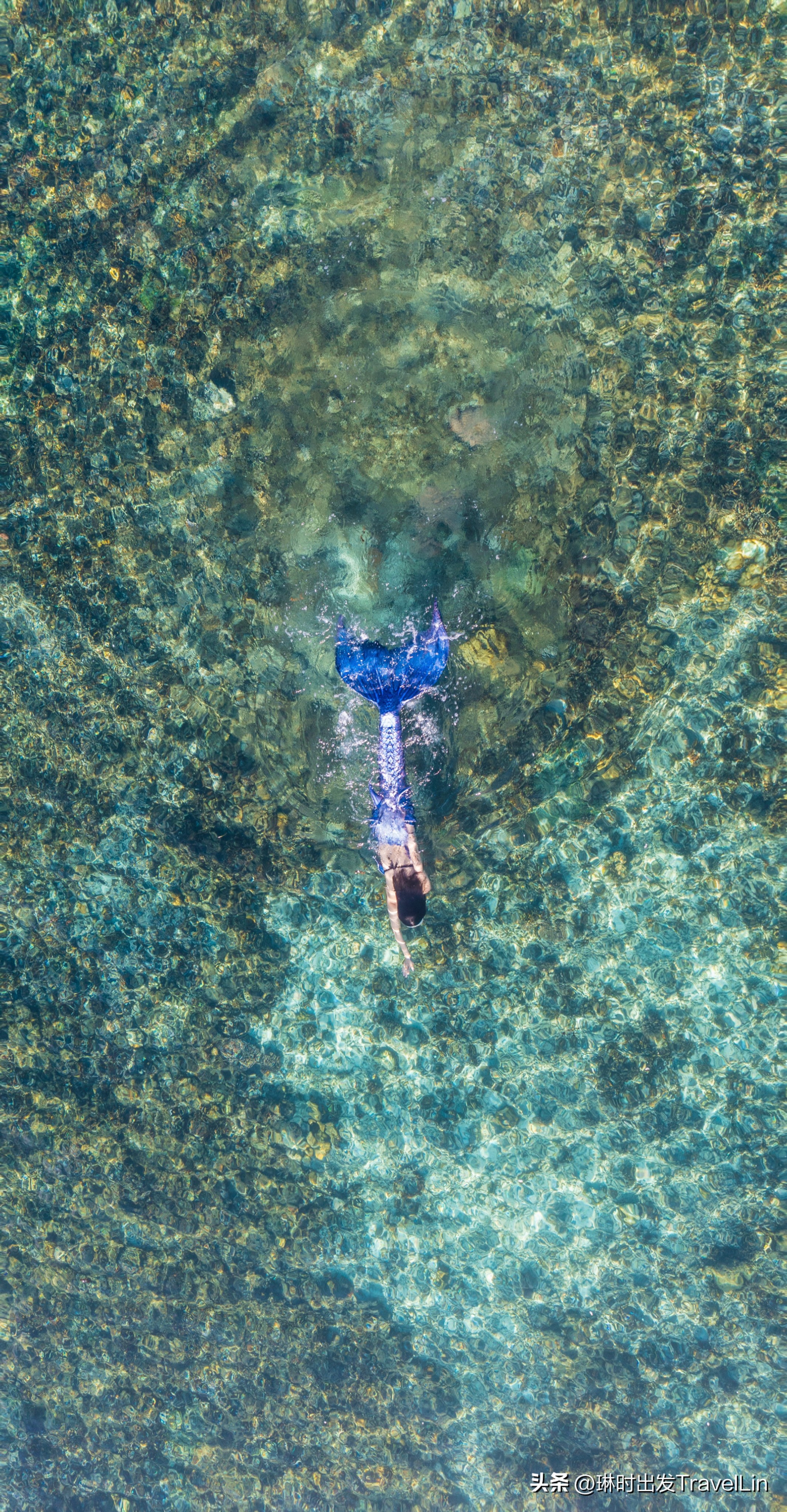 超刺激的海钓视频,超刺激的鲨鱼