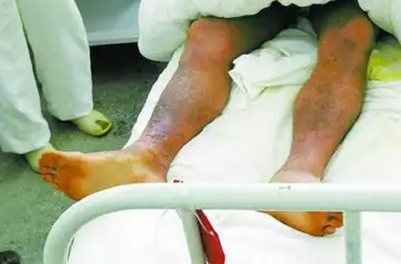 日本侵华老兵在黑龙江,2004年日本老兵到巴彦