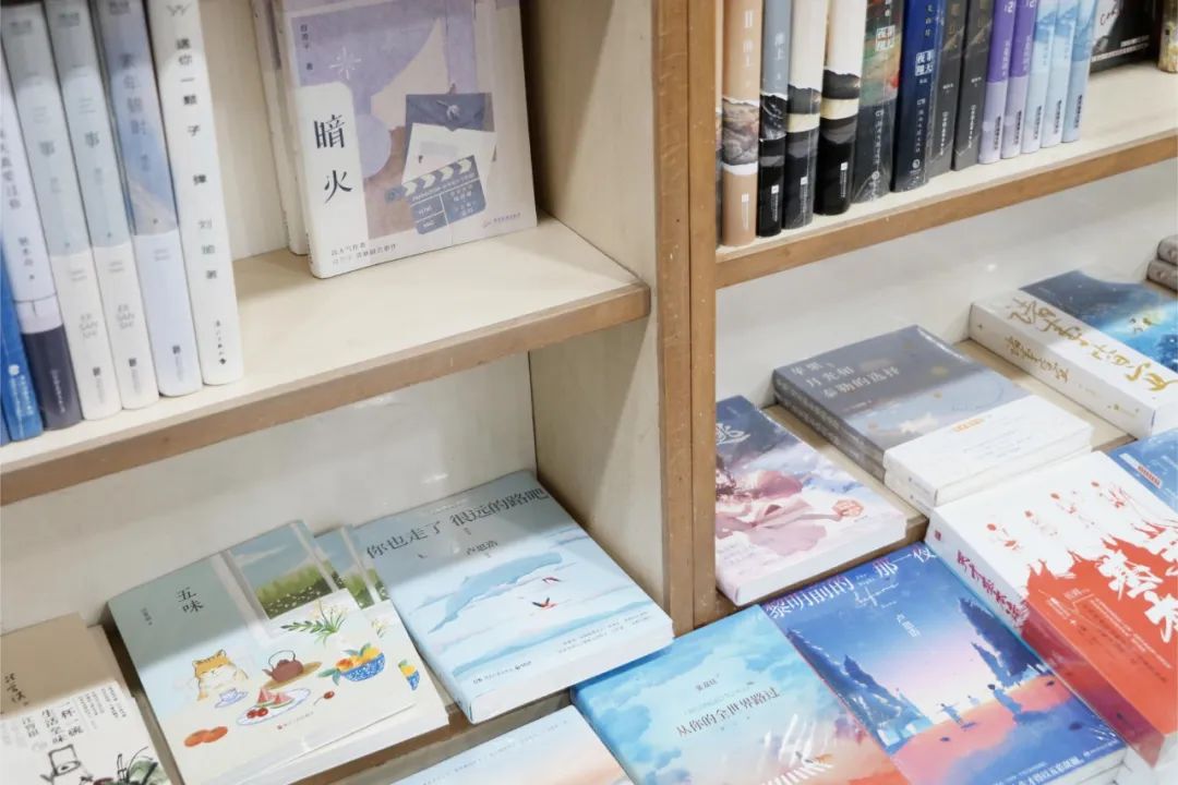 南京文化小店,南京老新华书店