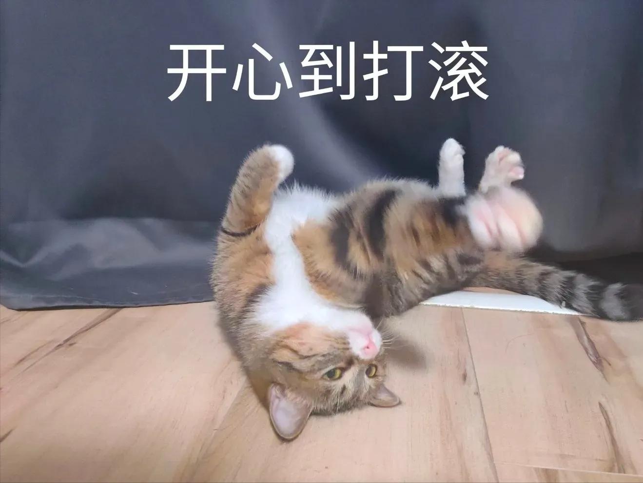 不想上班了摆摊,摆摊是年轻人最好的出路