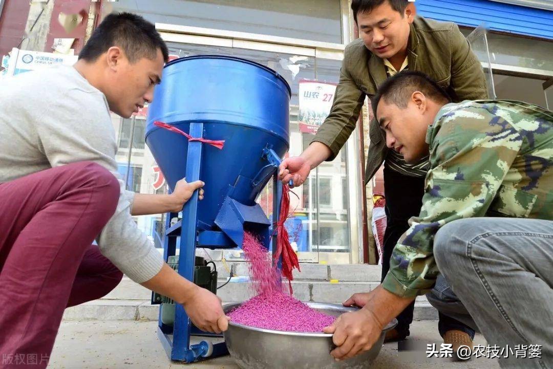 植物根损坏了还能生长吗,植物根伤了怎么治