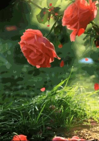 分享一束花图片,分享照片愿你遇到的都是美好