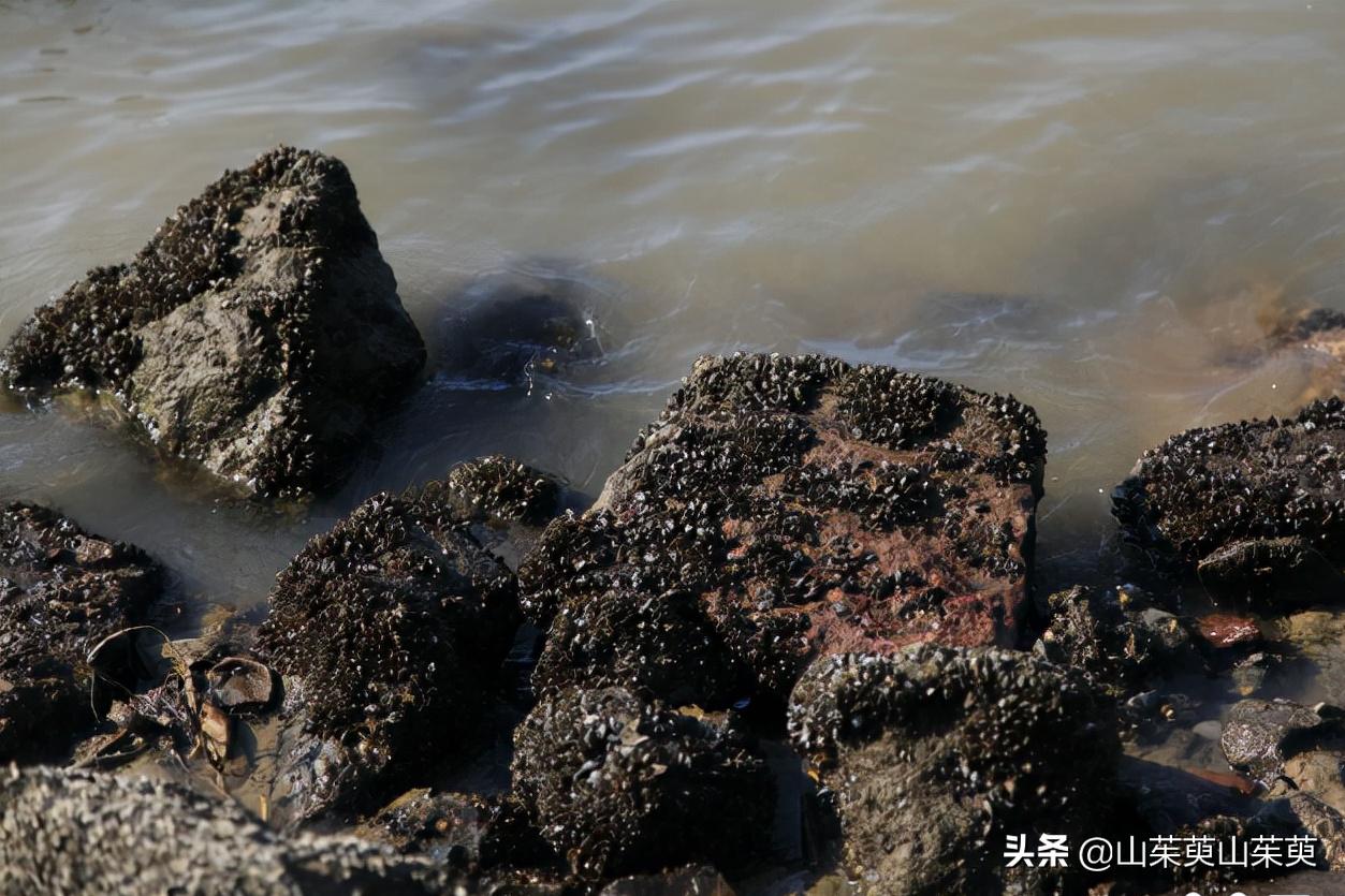 芜湖旅游攻略教堂,芜湖鸠兹风景区
