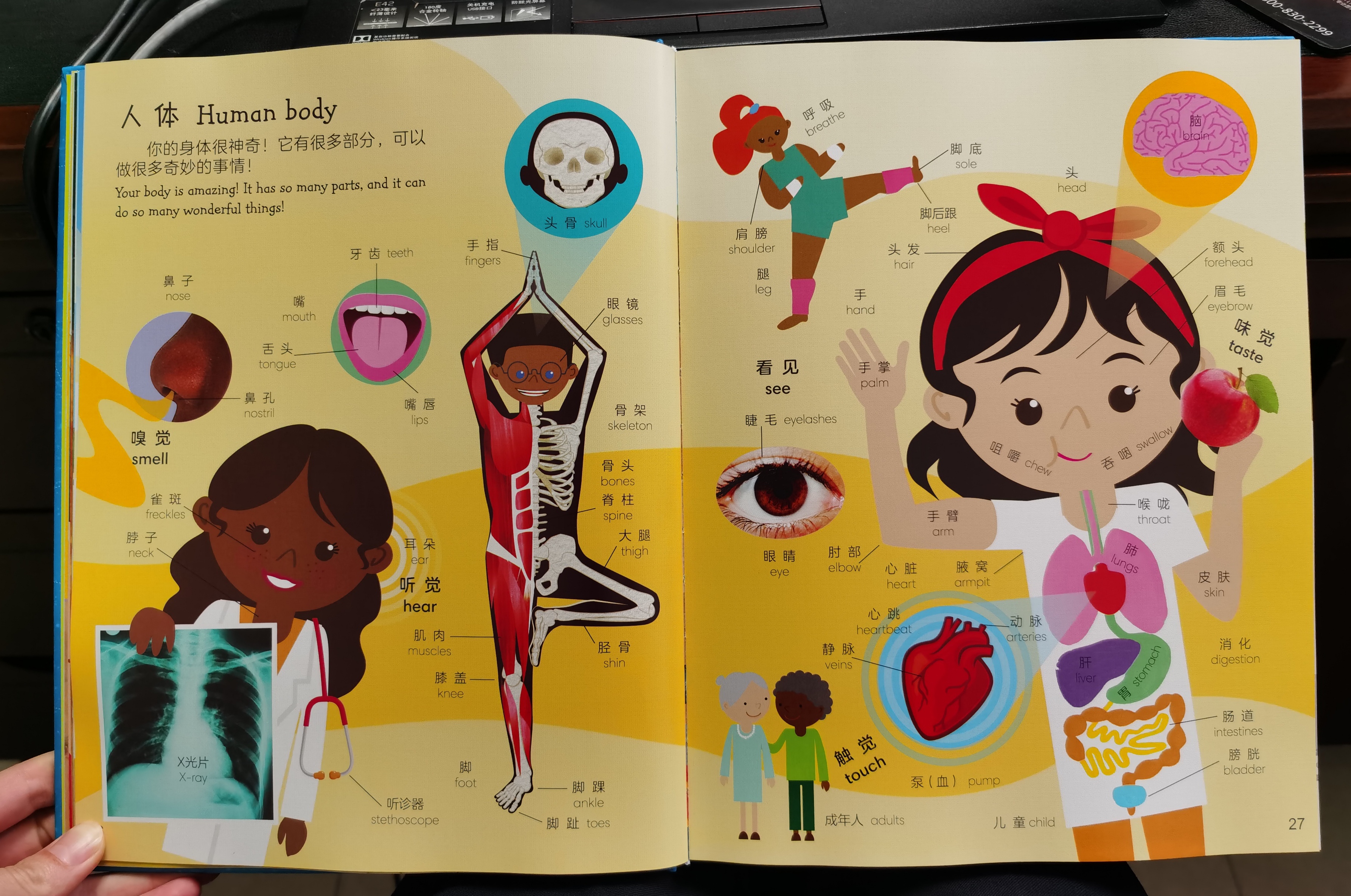 如何给孩子选英语启蒙书,如何教会孩子选择书