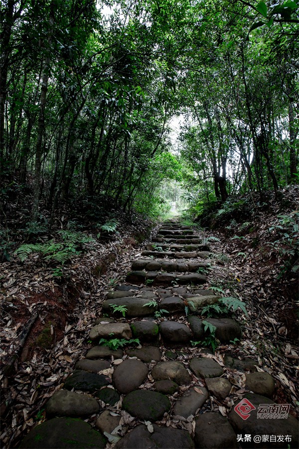 跟着音乐游云南,跟着民歌游云南