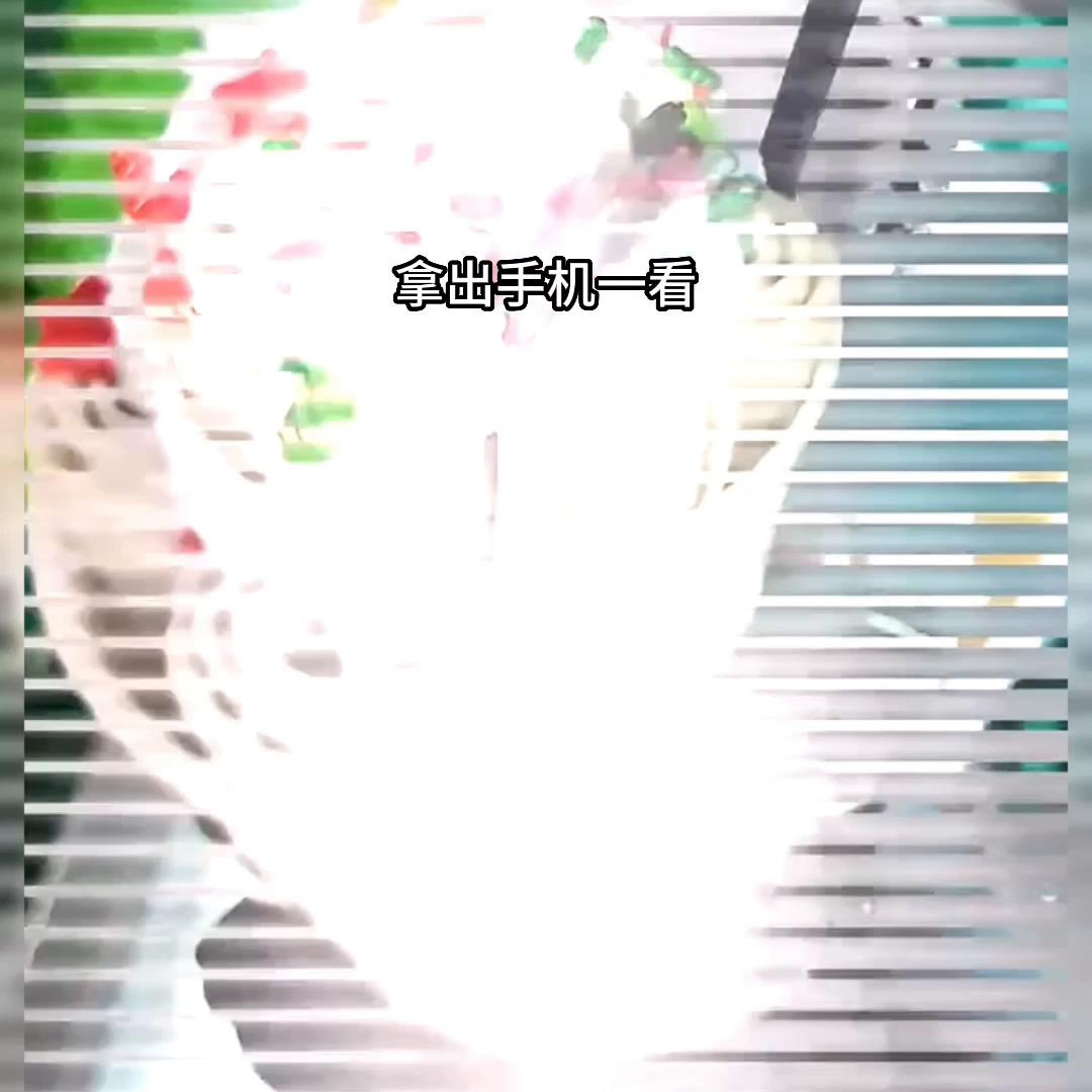 小故事大道理,小故事睡前故事