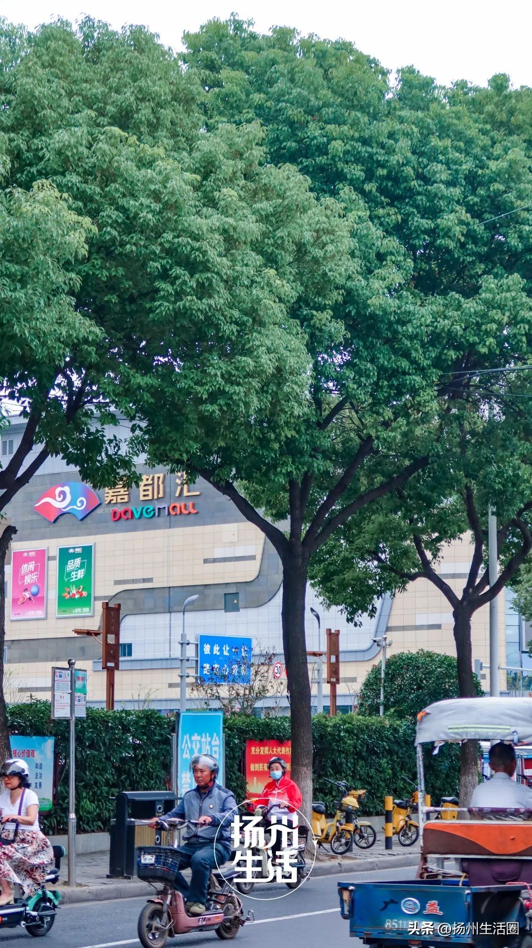 东区内卷之王，观潮路