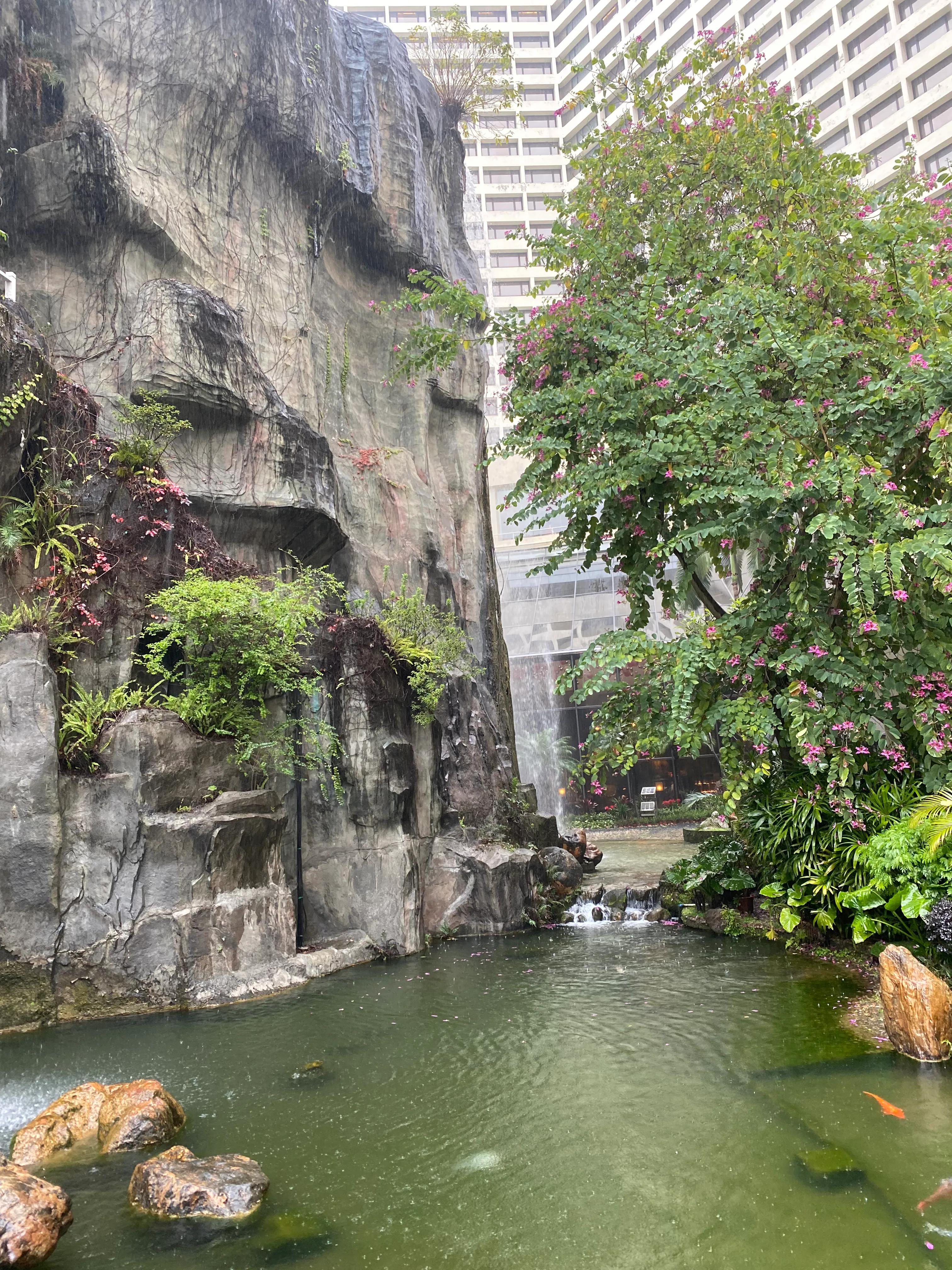 广州长隆度假区游玩攻略预算,广州长隆度假区最全游玩攻略