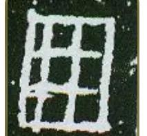 田田荷叶什么意思,田田的荷叶