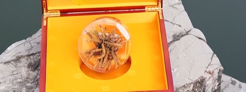 小孩独自看店,小孩一个人看店