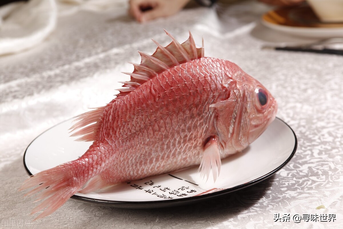 常见海鱼的品种大全及名字,海鱼的品种大全介绍