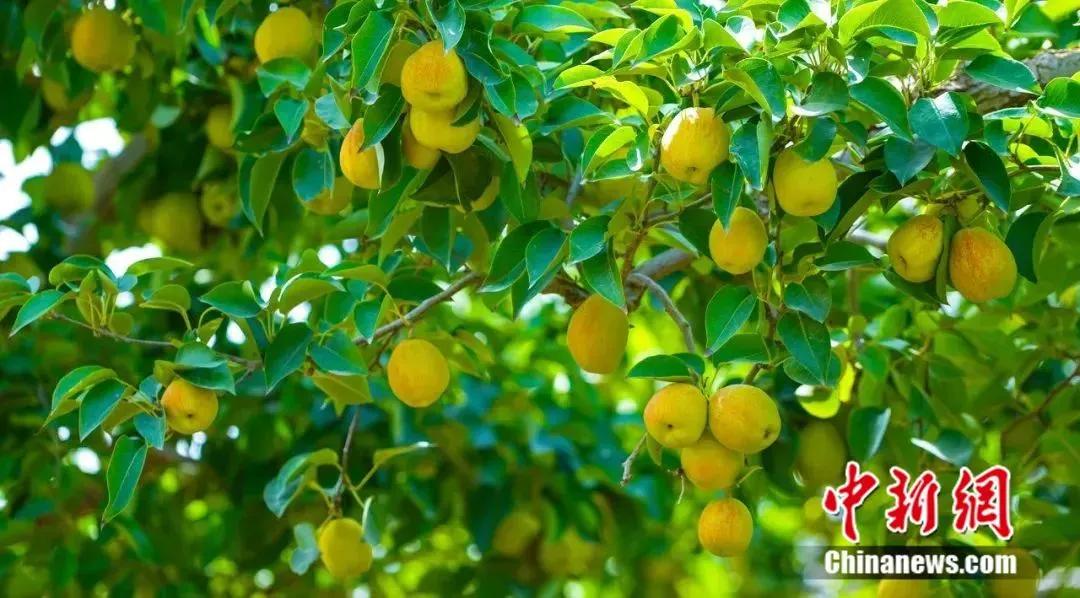 如何正确用好信用卡,怎样安全使用信用卡