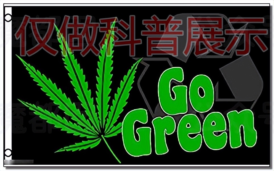 儿童刺绣亮片t恤,12个有毒童装品牌