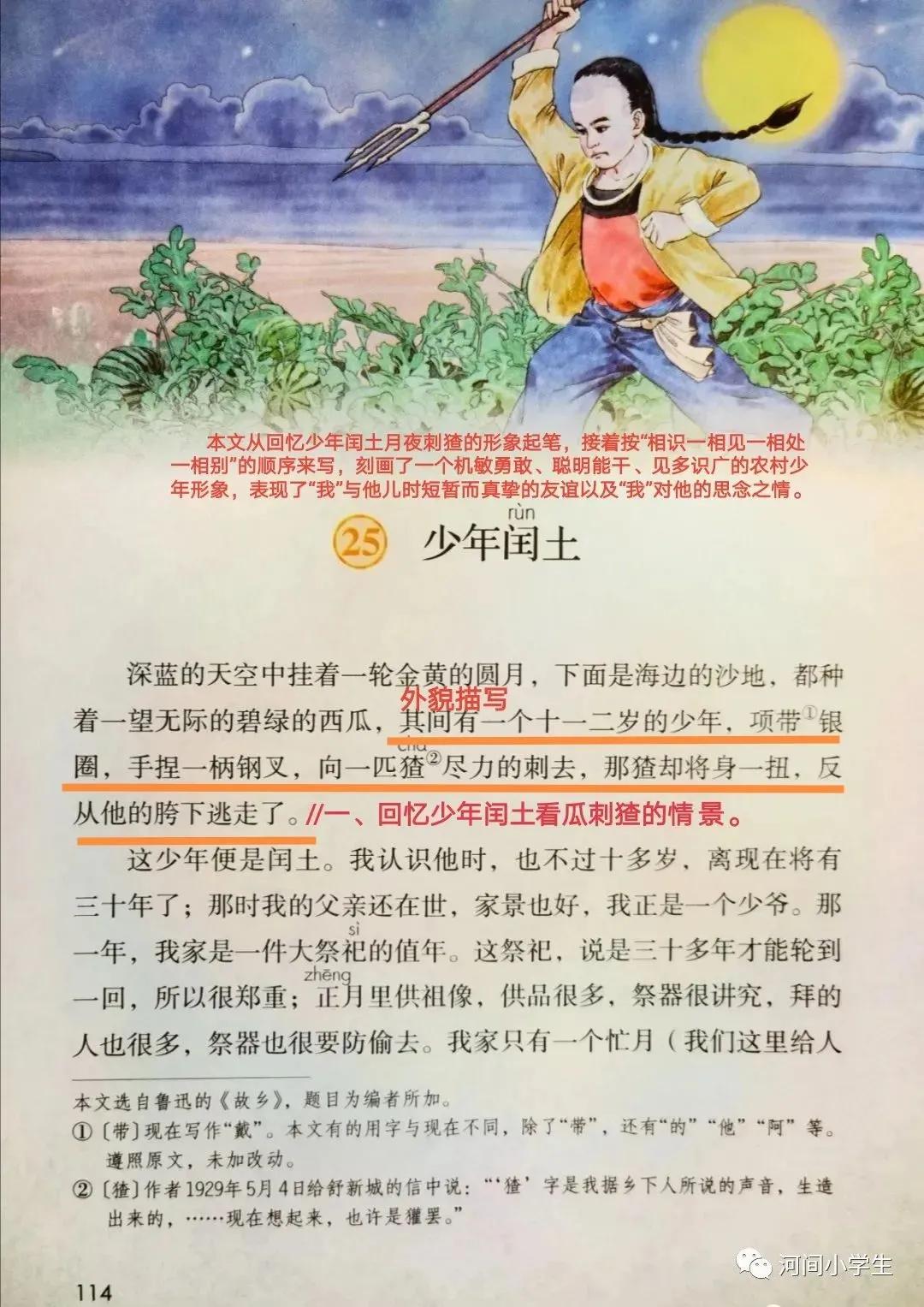 六年级语文上册第八单元教学重点和《25少年闰土》课堂笔记