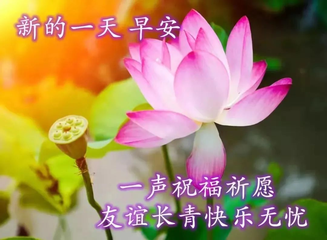 周五问候祝福动态表情图片大全，做一个善良的人，做快乐的自己