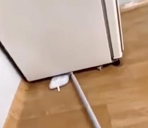 神回复多大点事,神回复小孩笑死人