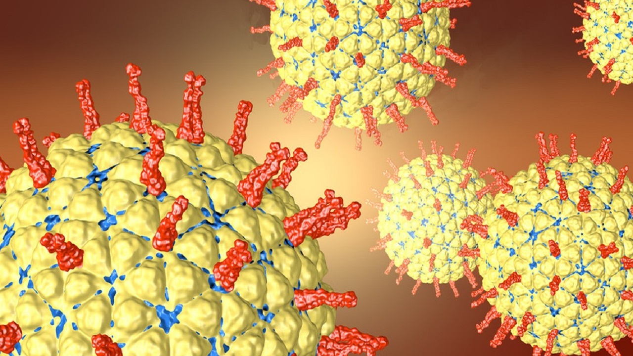 秋季宝宝呕吐腹泻发烧怎么回事,秋季腹泻反复发烧怎么办