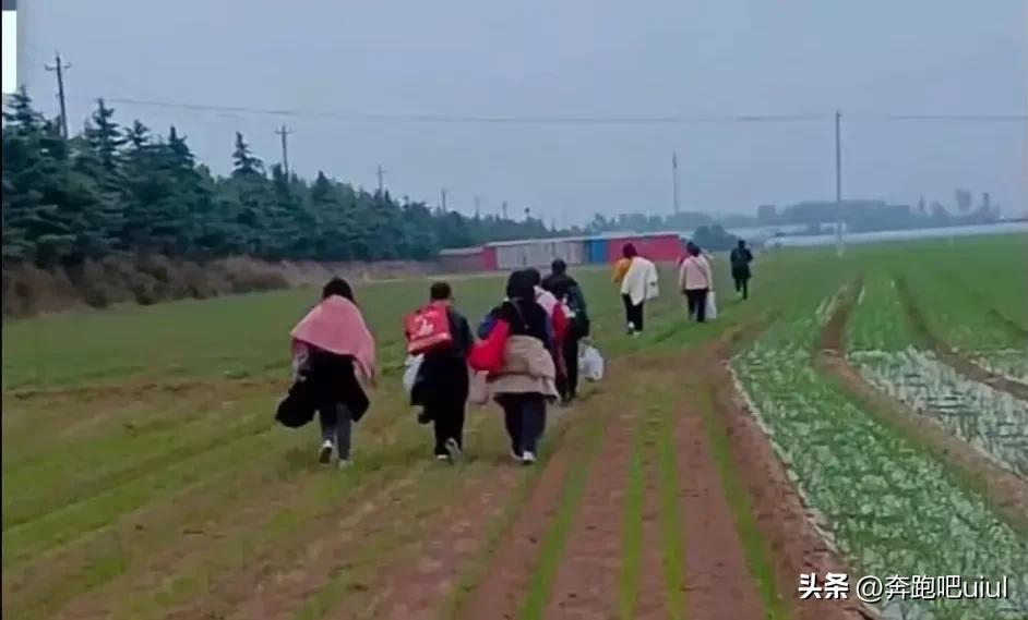 郑州富士康大量员工徒步返乡事件,河南郑州富士康大批员工徒步返乡