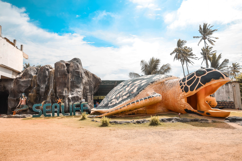 斯里兰卡旅游攻略必去景点,斯里兰卡旅游攻略最佳时间