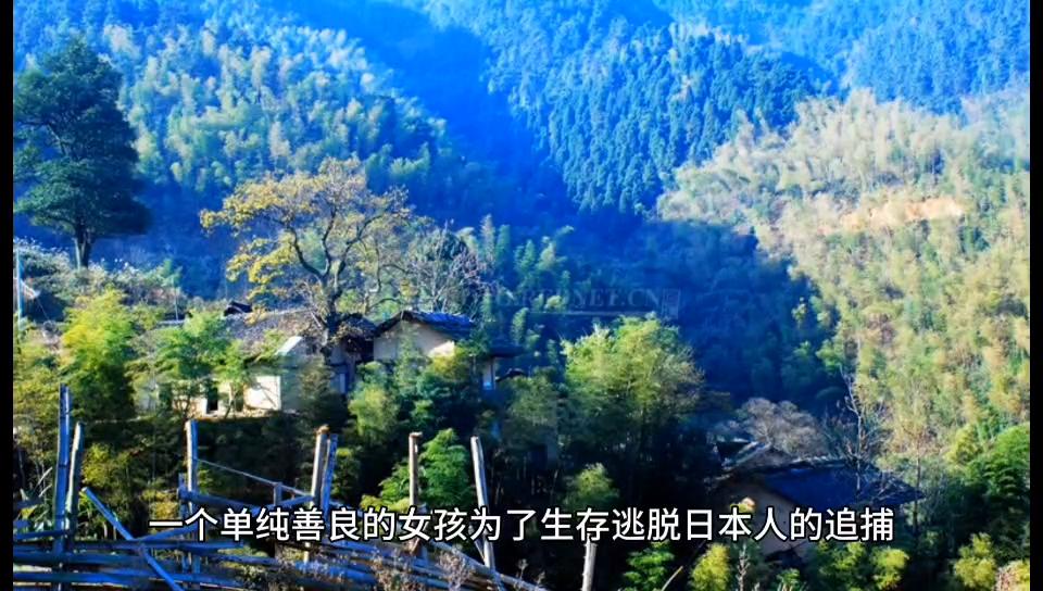 铜师傅直播,铜师傅铜雕画直播