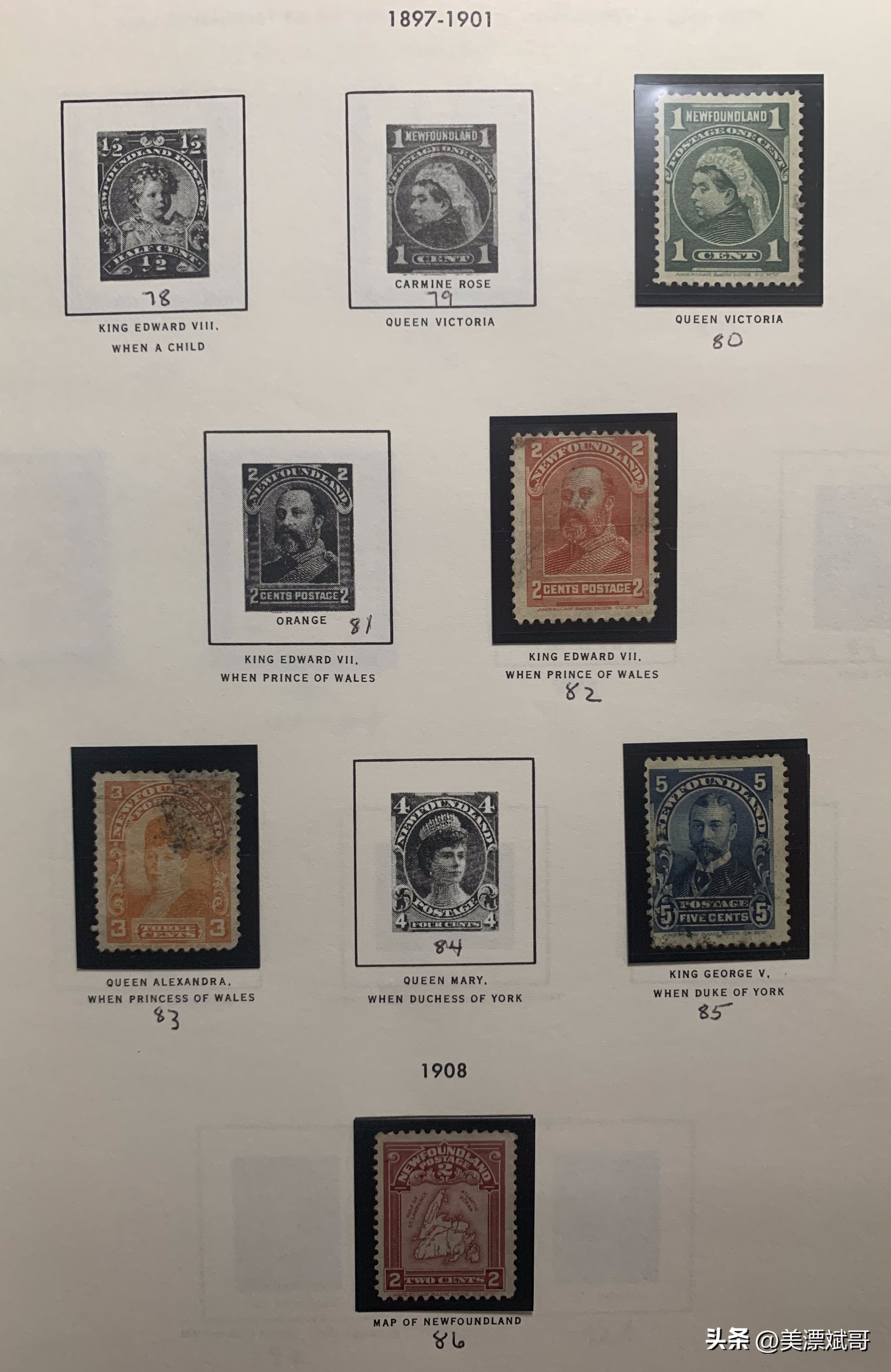 纽芬兰简介,纽芬兰历史