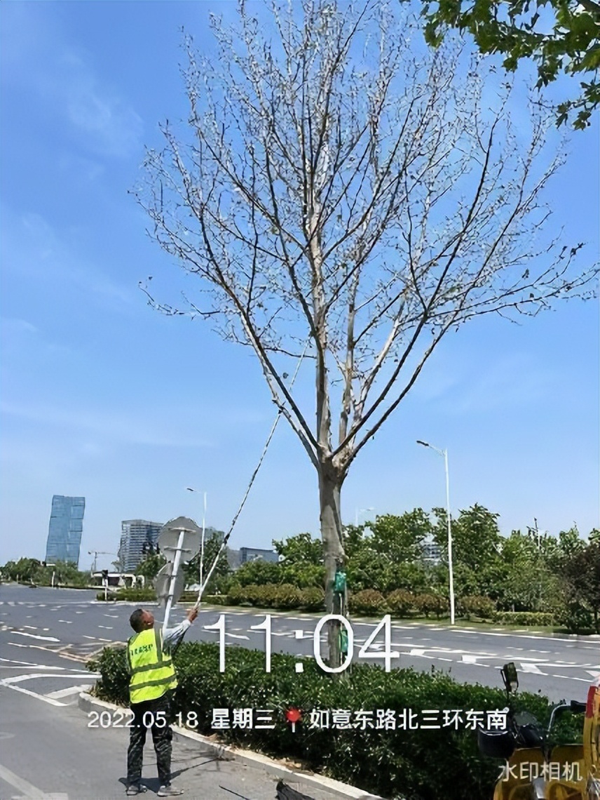 12月份园林绿化养护工作重点,元月份园林养护重点工作