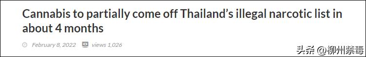 泰国现在大麻合法化旅游安全吗,泰国旅游大麻合法化如何规避