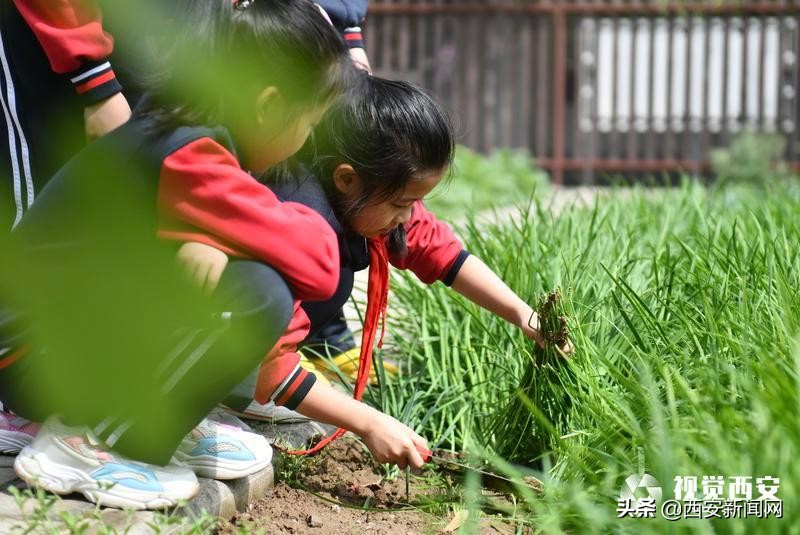 以教育高质量发展为己任,西安基础教育优质均衡发展