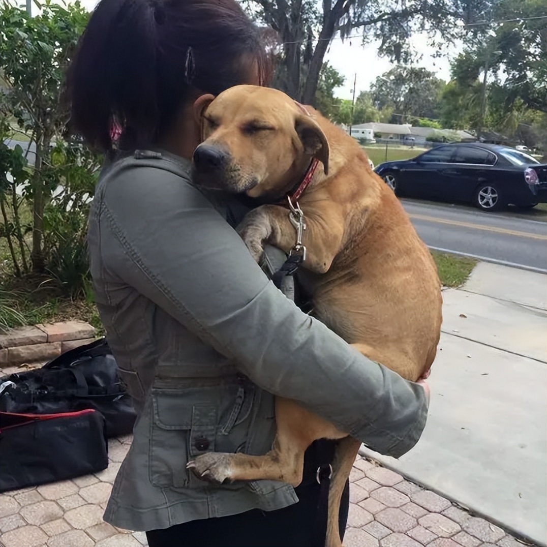 母狗有毛病怎么改,阿拉斯加母狗缺点