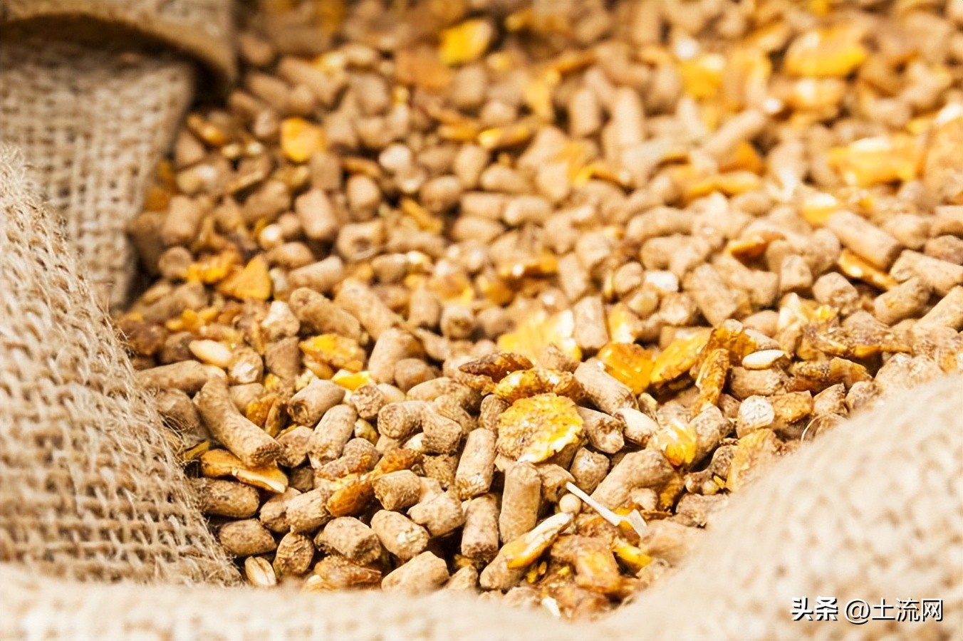 猪饲料价格最新报价,猪饲料价格最新价格