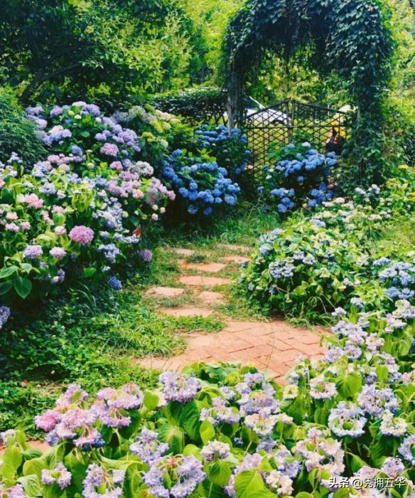 周末去哪里玩最合适昆明,昆明景点莫奈花园