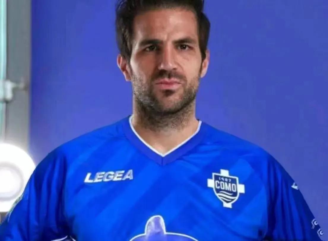 塞斯克法布雷加斯,弗朗塞斯克法布雷加斯