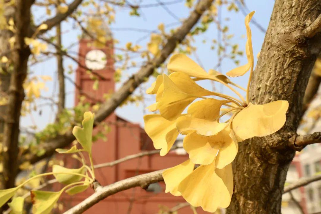 “我的梦想是超过同桌”华爱学校新学期，每个孩子都溢满七彩希望